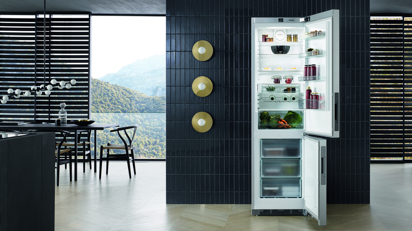 Fridge (20000175250.highres