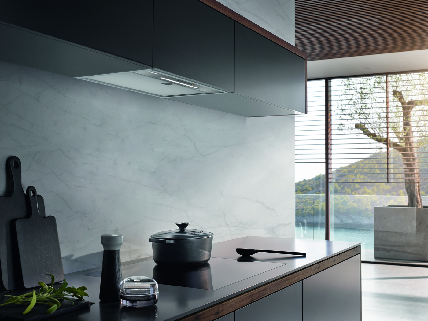 Miele DAE 1530 - LS