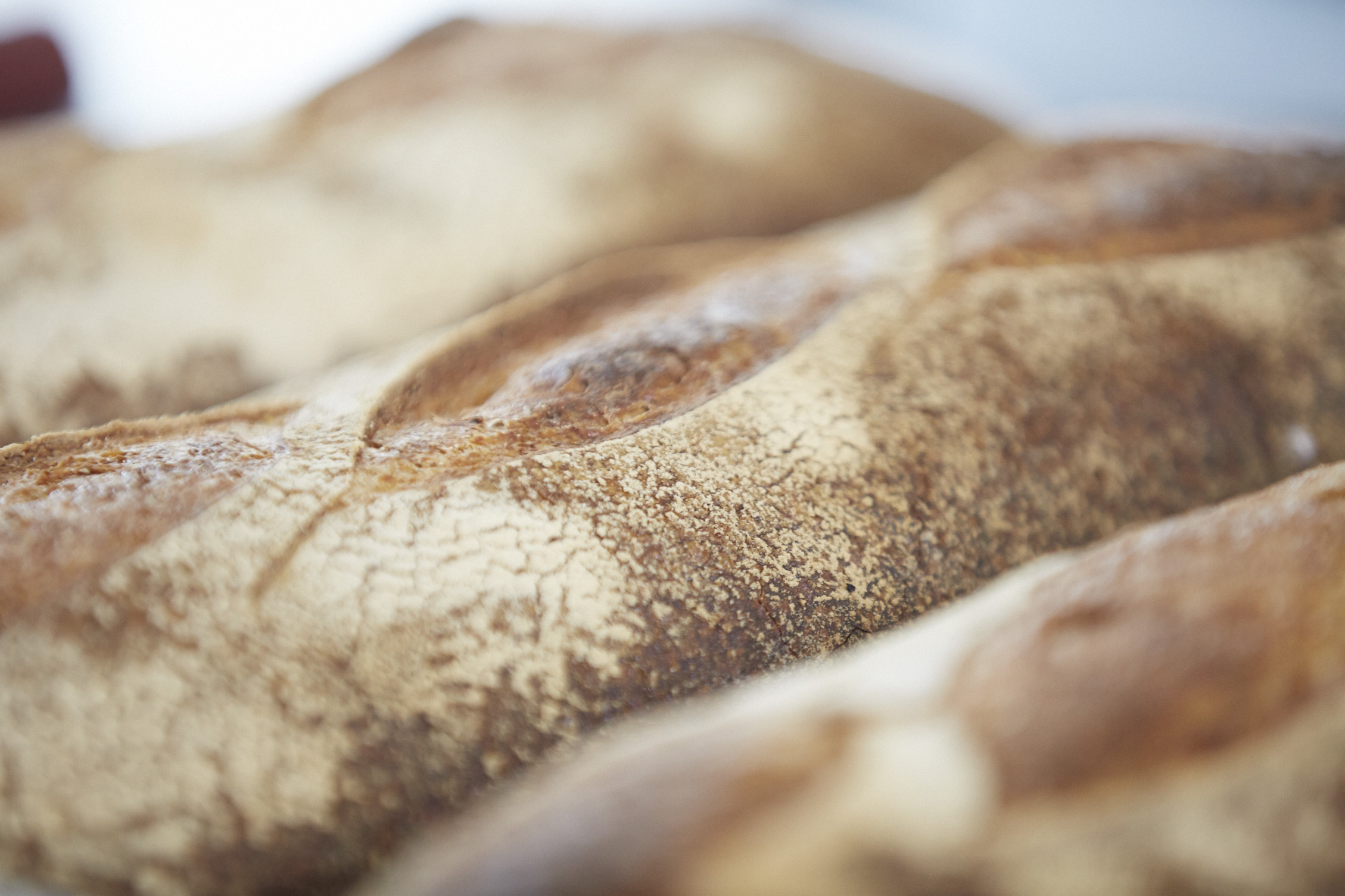 Miele SILO Bread
