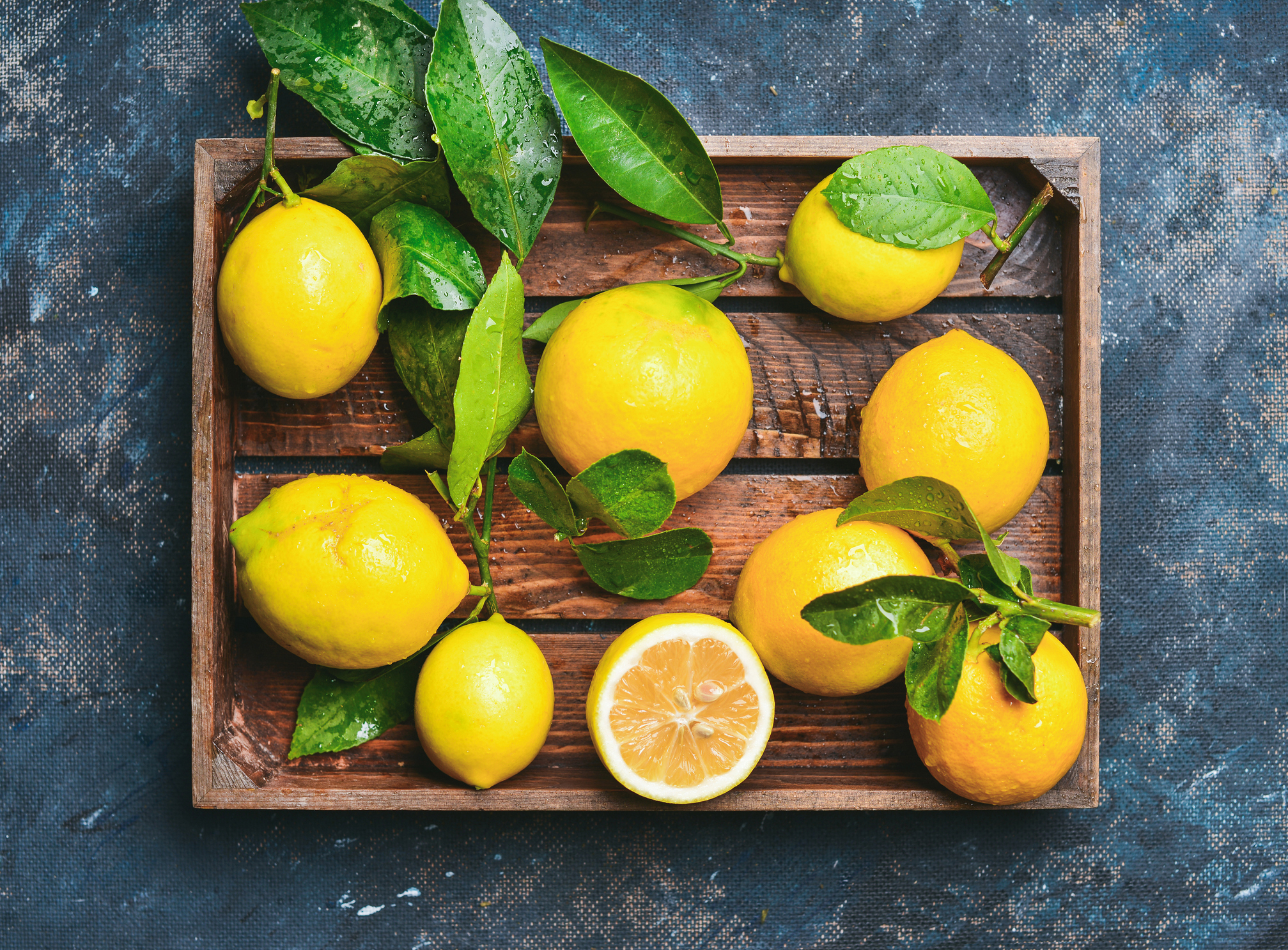 Miele Root to Shoot Lemon