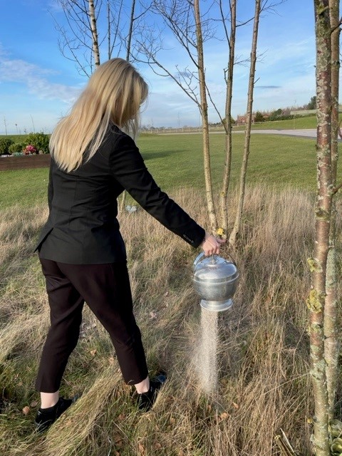 Crematorium Assistant Scattering Ashes At Crematorium