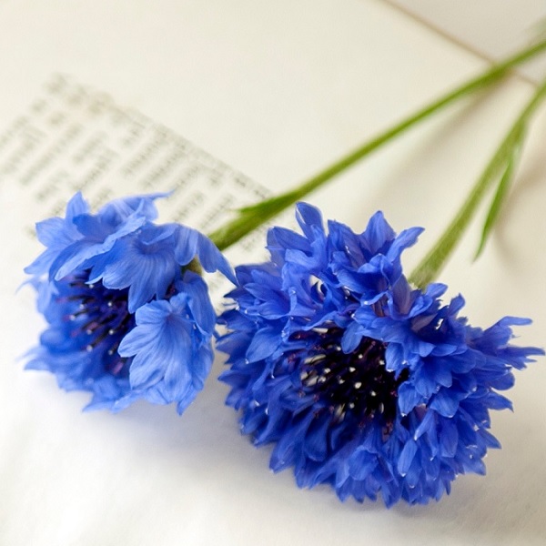 Non religious funeral poems