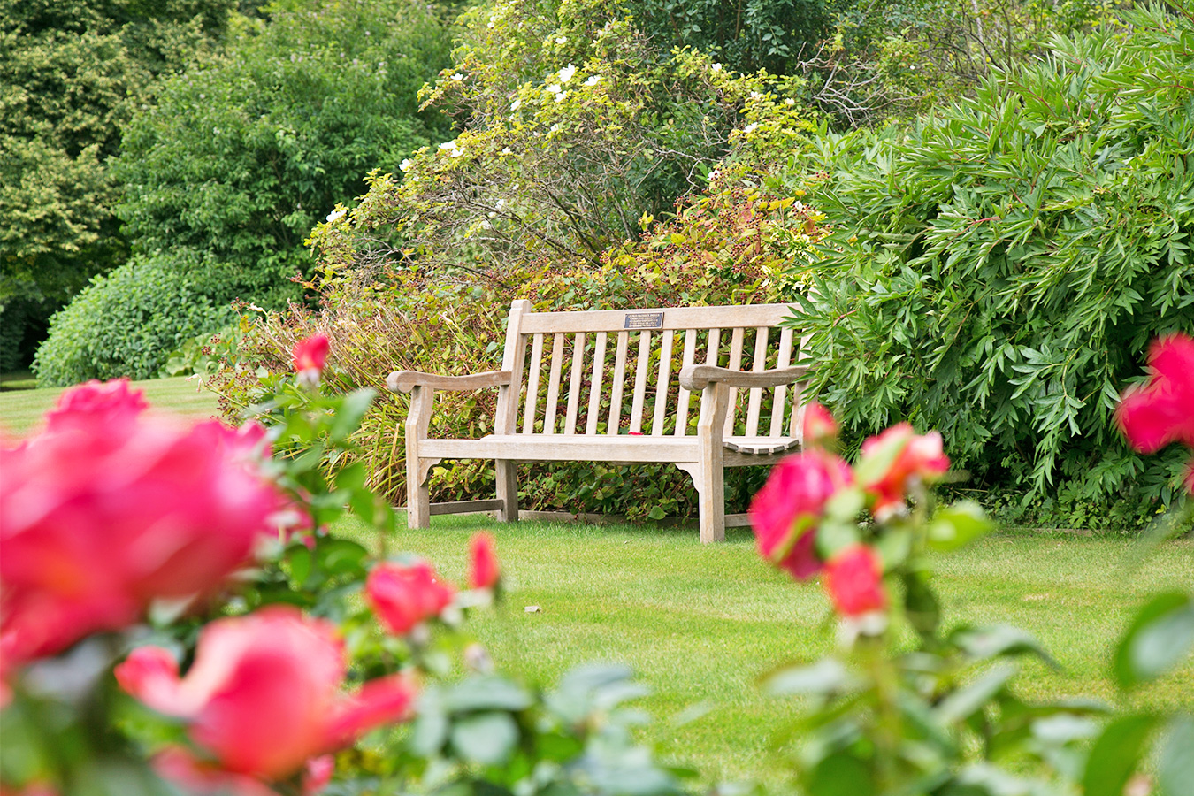 Sue bench with funeral plan guide