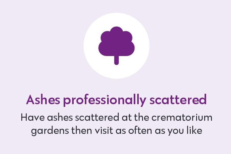 Ashes Professionally Scattered