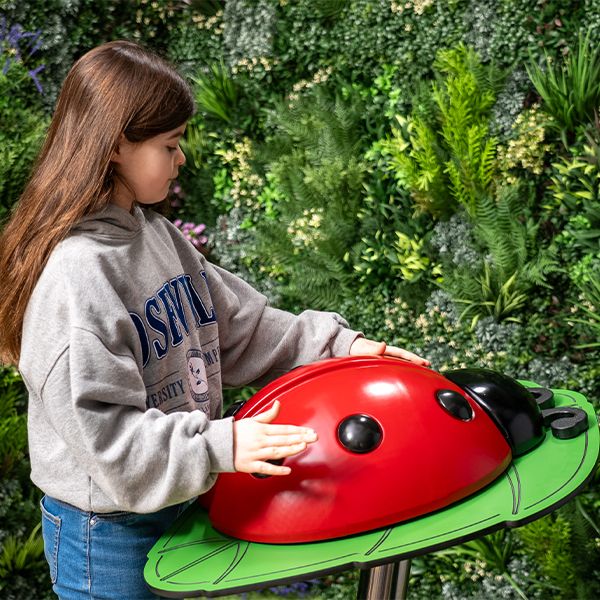*New* Ladybug