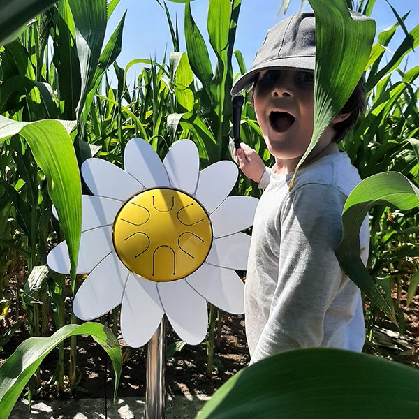 Celebrating Pollinators Through Music and Outdoor Play